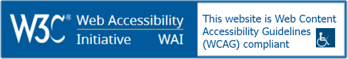 website accessible by people with special abilities